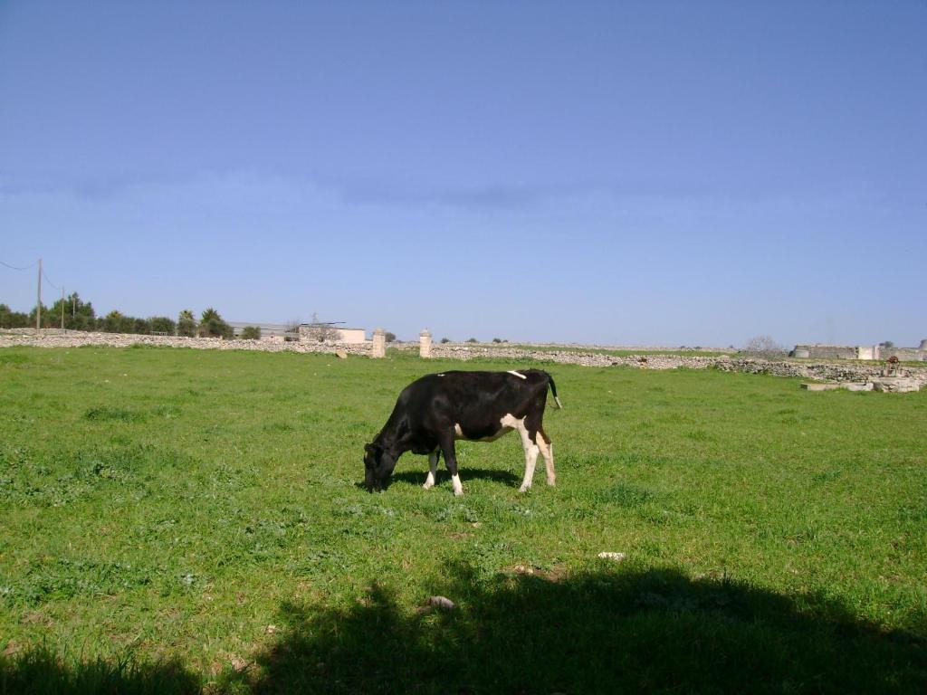 Masseria Cassiere Mottola Exterior foto